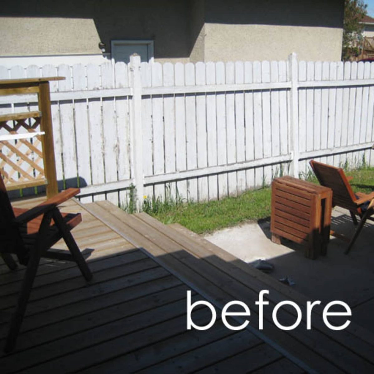 Backyard before a new fence was installed
